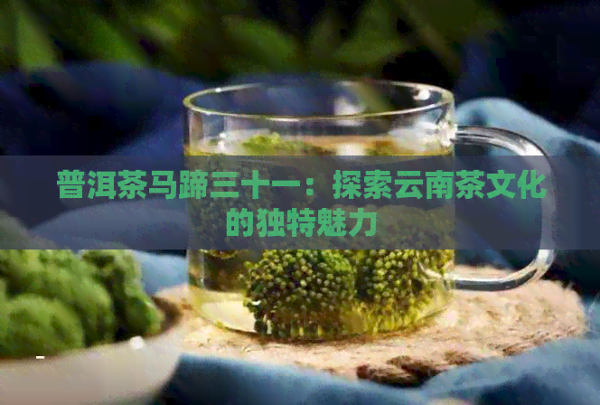 普洱茶马蹄三十一：探索云南茶文化的独特魅力