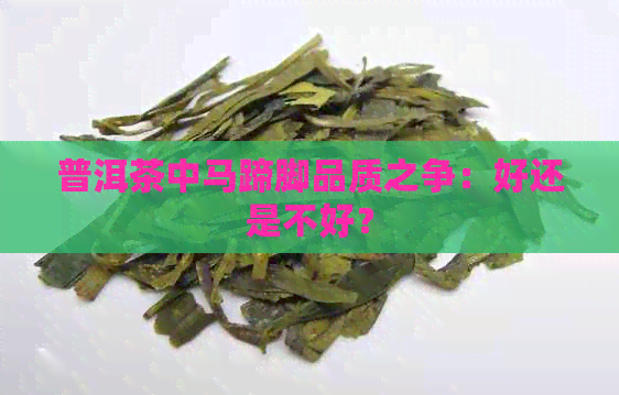 普洱茶中马蹄脚品质之争：好还是不好？