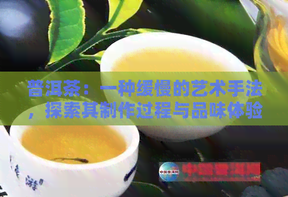 普洱茶：一种缓慢的艺术手法，探索其制作过程与品味体验