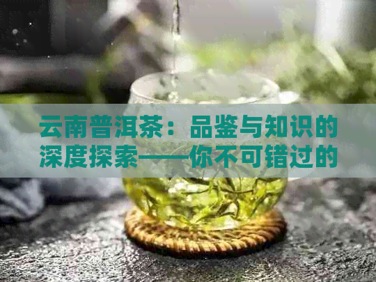 云南普洱茶：品鉴与知识的深度探索——你不可错过的问题及答案