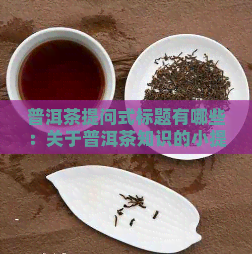 普洱茶提问式标题有哪些：关于普洱茶知识的小提问与茶叶问题的探讨