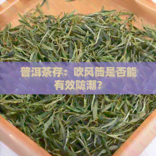 普洱茶存：吹风筒是否能有效防潮？