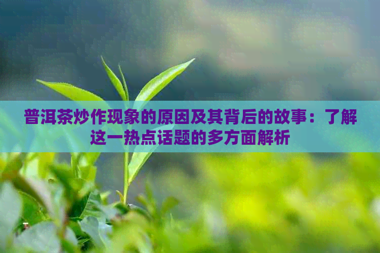 普洱茶炒作现象的原因及其背后的故事：了解这一热点话题的多方面解析