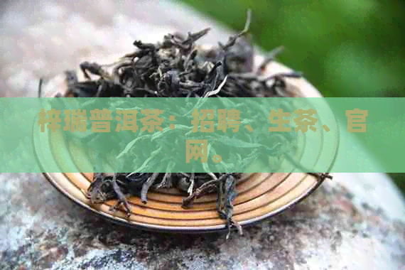 梓瑞普洱茶：招聘、生茶、官网。