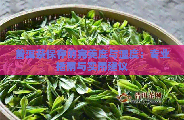 普洱茶保存的完美度与湿度：专业指南与实用建议