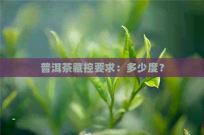 普洱茶藏控要求：多少度？