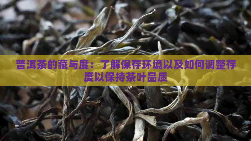 普洱茶的藏与度：了解保存环境以及如何调整存度以保持茶叶品质