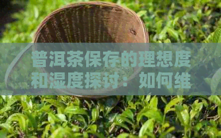 普洱茶保存的理想度和湿度探讨：如何维持其风味