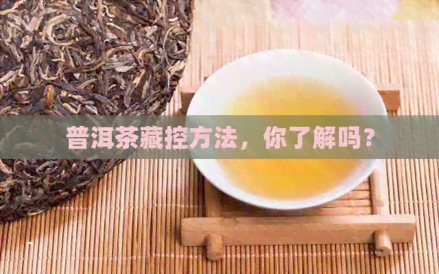 普洱茶藏控方法，你了解吗？