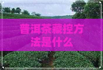 普洱茶藏控方法是什么