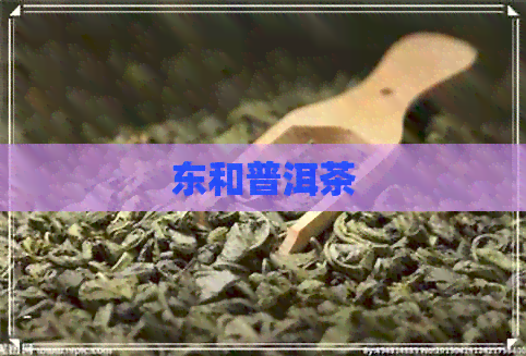 东和普洱茶