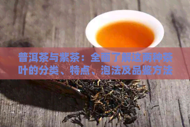 普洱茶与紫茶：全面了解这两种茶叶的分类、特点、泡法及品鉴方法