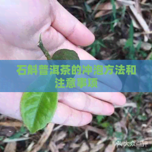 石斛普洱茶的冲泡方法和注意事项