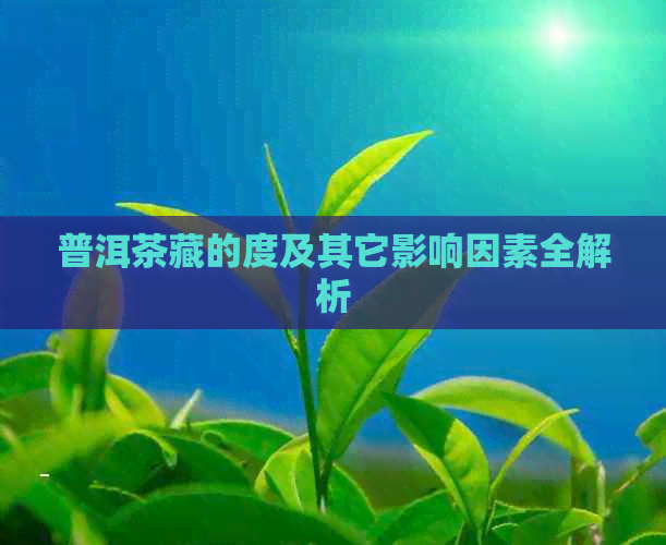 普洱茶藏的度及其它影响因素全解析