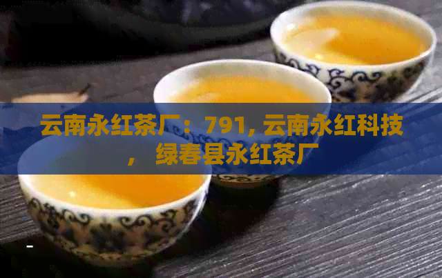 云南永红茶厂：791, 云南永红科技， 绿春县永红茶厂