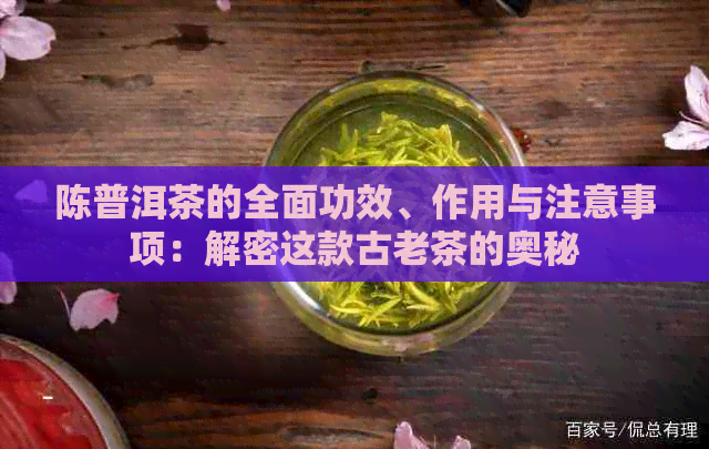 陈普洱茶的全面功效、作用与注意事项：解密这款古老茶的奥秘