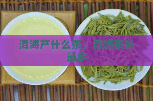 洱海产什么茶，洱海茶叶最多