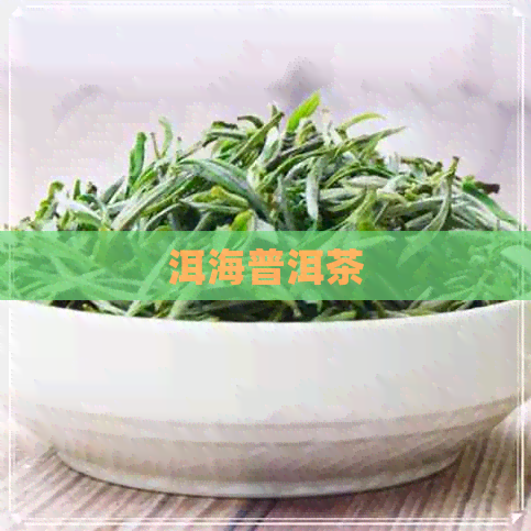 洱海普洱茶