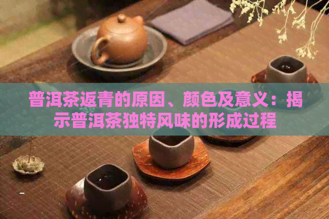 普洱茶返青的原因、颜色及意义：揭示普洱茶独特风味的形成过程