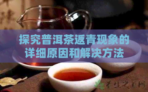 探究普洱茶返青现象的详细原因和解决方法