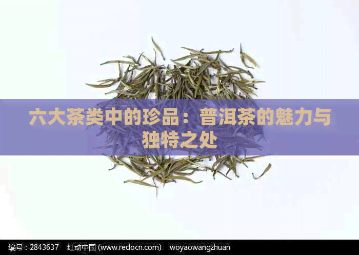 六大茶类中的珍品：普洱茶的魅力与独特之处