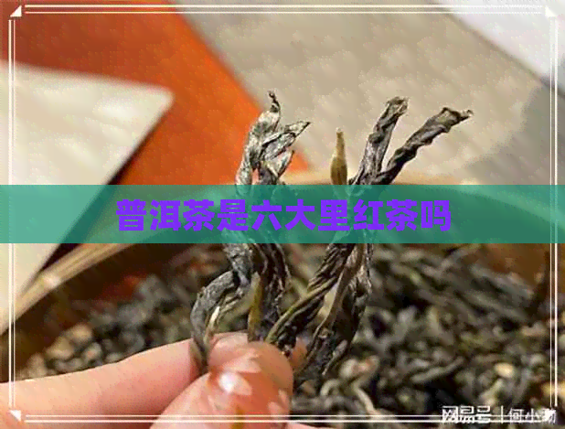 普洱茶是六大里红茶吗