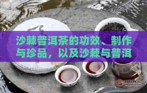 沙棘普洱茶的功效、制作与珍品，以及沙棘与普洱的搭配功效。