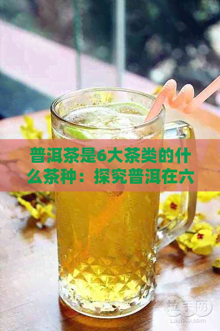 普洱茶是6大茶类的什么茶种：探究普洱在六大茶类中的独特位置