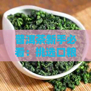 普洱茶新手必看：挑选口粮茶的最新指南，让你轻松掌握选购技巧