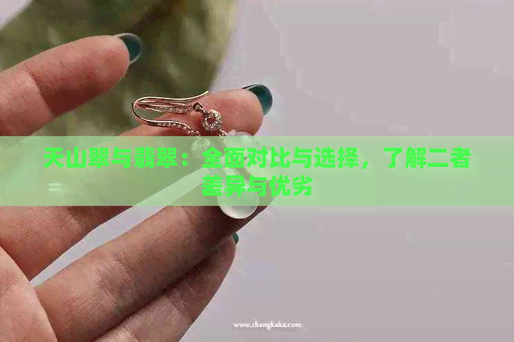 天山翠与翡翠：全面对比与选择，了解二者差异与优劣