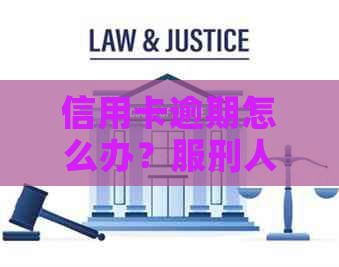 信用卡逾期怎么办？服刑人员、进去了、期间、被判刑了，如何办理分期还款？