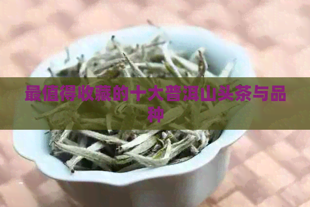 最值得收藏的十大普洱山头茶与品种