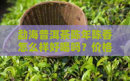 勐海普洱茶陈年陈香怎么样好喝吗？价格是多少？