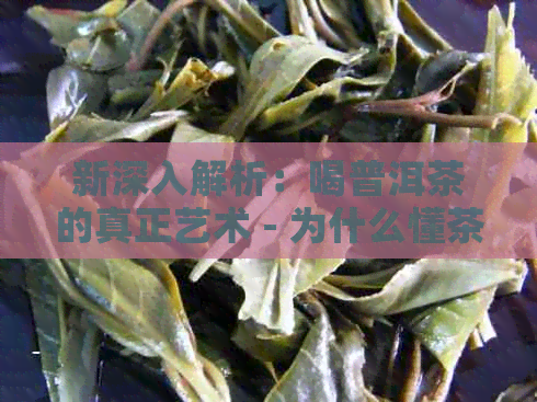 新深入解析：喝普洱茶的真正艺术 - 为什么懂茶是必要的