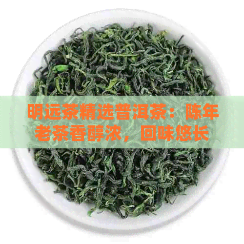 明远茶精选普洱茶：陈年老茶香醇浓，回味悠长