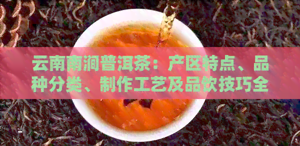 云南南涧普洱茶：产区特点、品种分类、制作工艺及品饮技巧全面解析