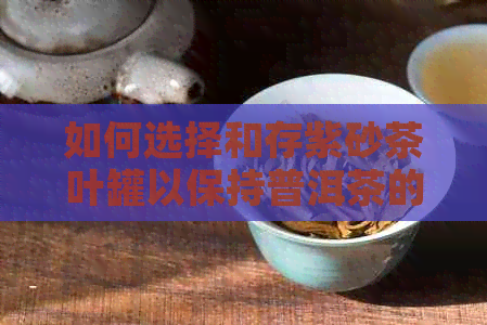 如何选择和存紫砂茶叶罐以保持普洱茶的品质？