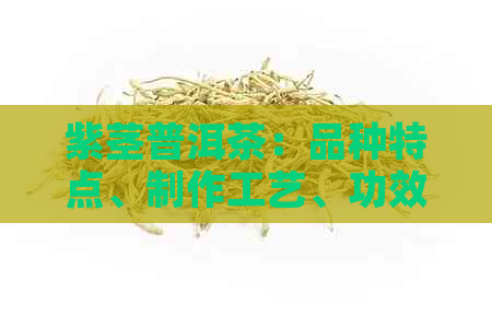 紫茎普洱茶：品种特点、制作工艺、功效与禁忌，一文全面解析！