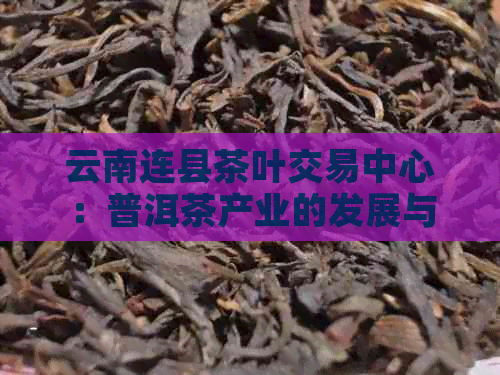 云南连县茶叶交易中心：普洱茶产业的发展与创新