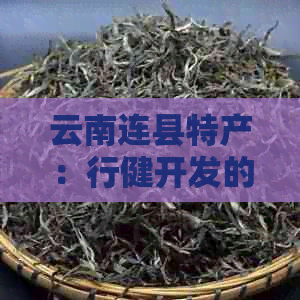 云南连县特产：行健开发的普洱茶，探索普洱市的茶文化之美