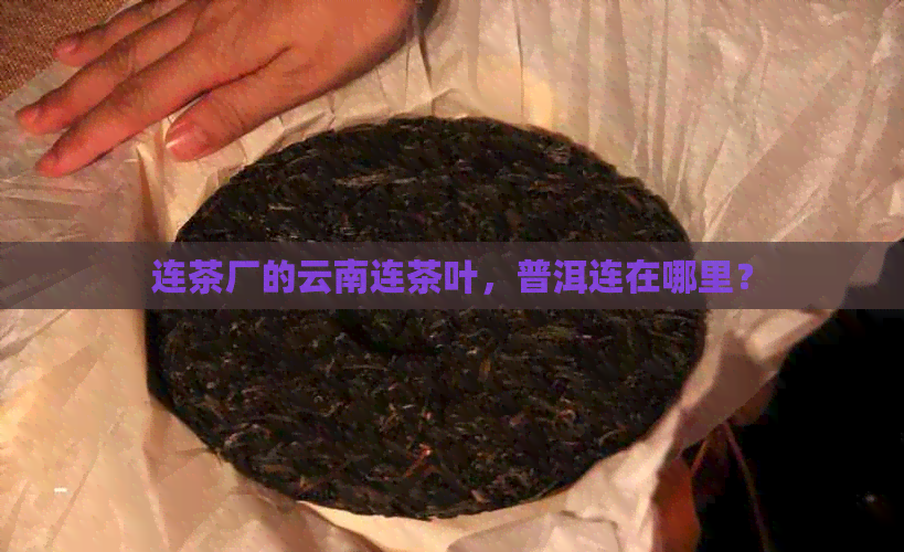 连茶厂的云南连茶叶，普洱连在哪里？