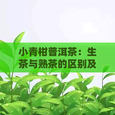 小青柑普洱茶：生茶与熟茶的区别及适用场景详解