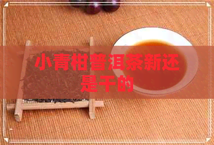 小青柑普洱茶新还是干的