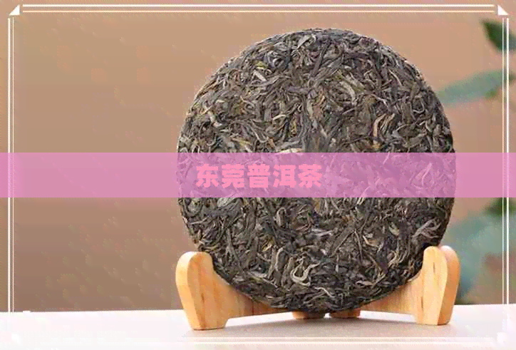 东莞普洱茶