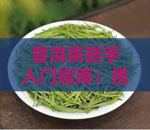 普洱茶新手入门指南：挑选适合的牌子与品饮技巧