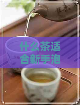 什么茶适合新手泡普洱茶喝