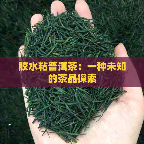 胶水粘普洱茶：一种未知的茶品探索