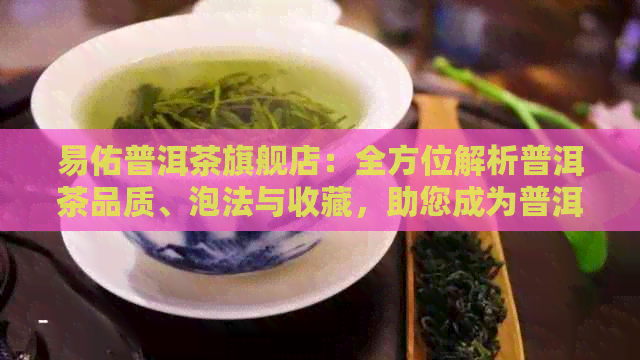 易佑普洱茶旗舰店：全方位解析普洱茶品质、泡法与收藏，助您成为普洱茶专家