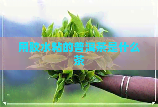 用胶水粘的普洱茶是什么茶