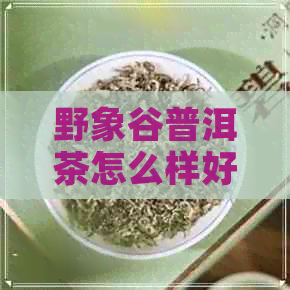 野象谷普洱茶怎么样好不好